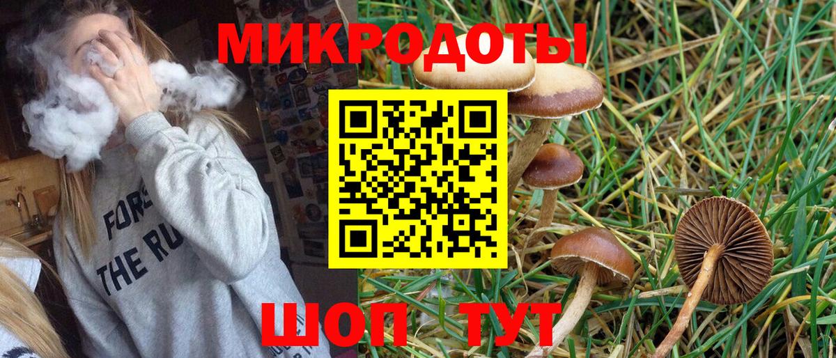 Кимры  Псилоцибиновые грибы мухоморы  Вход с VPN 